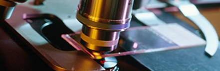 中国·金沙9570(集团)有限公司官网